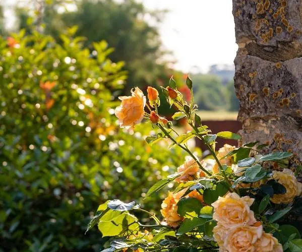 Les P'tits Velos Bed & Breakfast Chandolas
