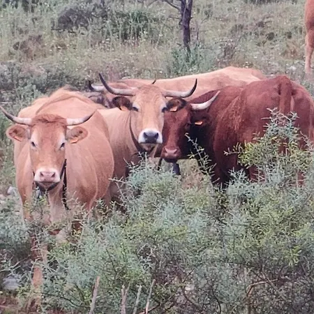 Les P'tits Velos فندق مبيت وإفطار 3*